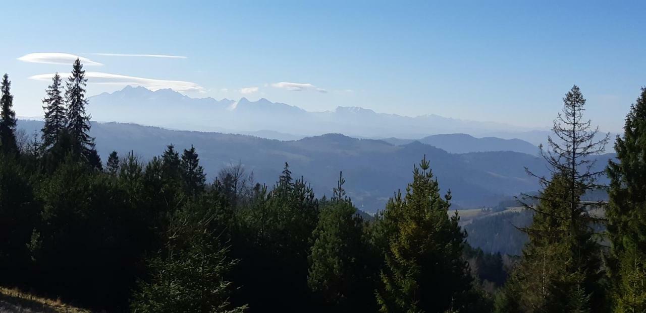 Szarlotka Szczawnica